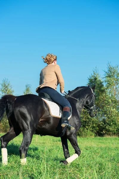 Negro hermoso caballo con jinete en el prado — Foto de Stock