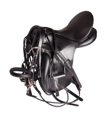Siyah deri terbiye eyer izole mouthbridle ile 
