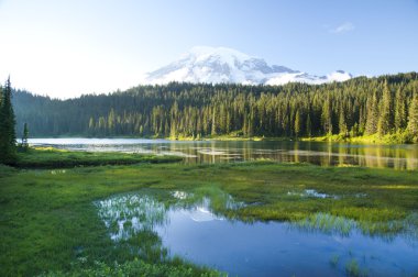 Mt. Rainier ve yansıma Gölü