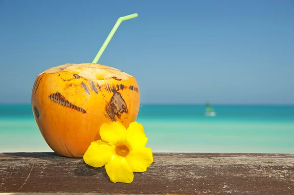 Orange kokos på stranden — Stockfoto