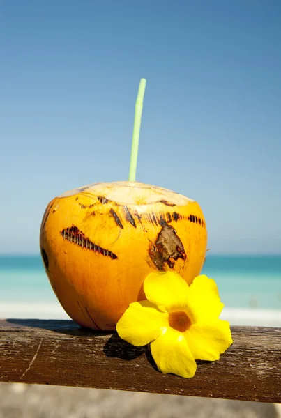 Coco de laranja na praia Imagem De Stock