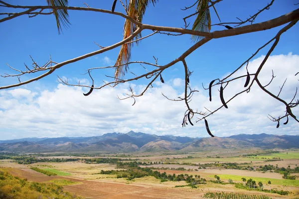 Valley of the Sugar Mills in Central Cuba — Stock Photo, Image