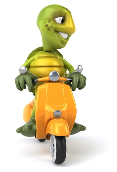 Fun cartoon turtle — Stock Photo, Image