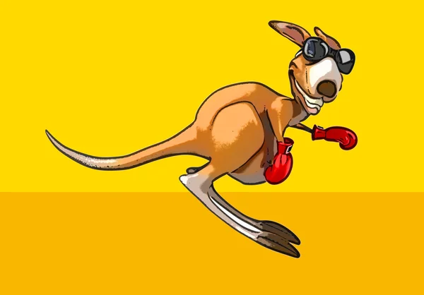 Komik karikatür kanguru — Stok fotoğraf