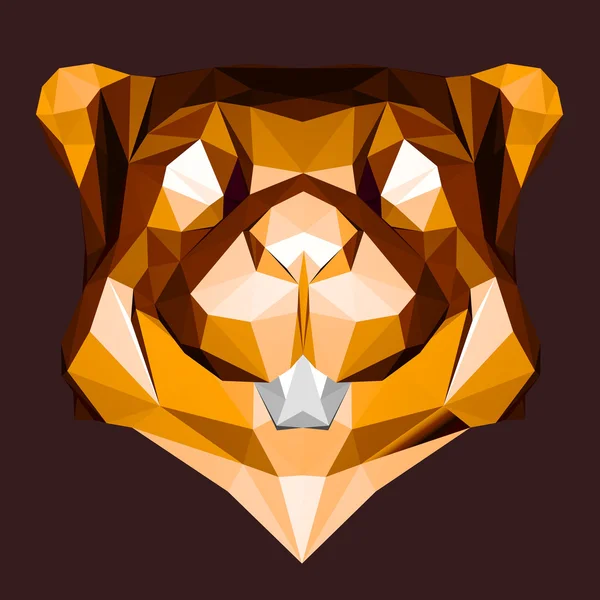 Funny polygonal Beaver — Stock Photo, Image