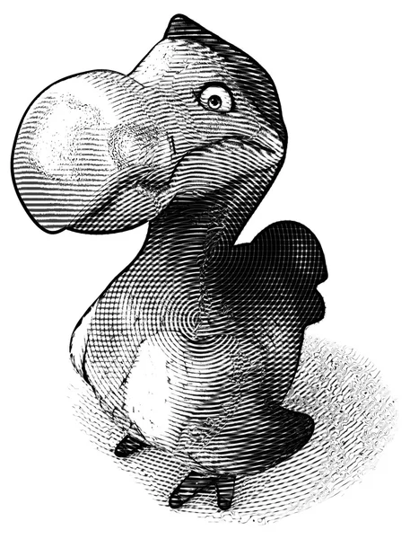 Oiseau Dodo noir et blanc — Photo