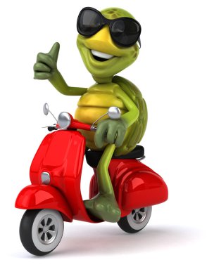 Scooter üzerinde eğlenceli kaplumbağa