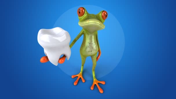 Funny cartoon frog — Stock Video