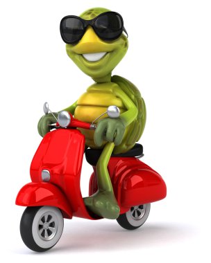 Scooter üzerinde eğlenceli kaplumbağa