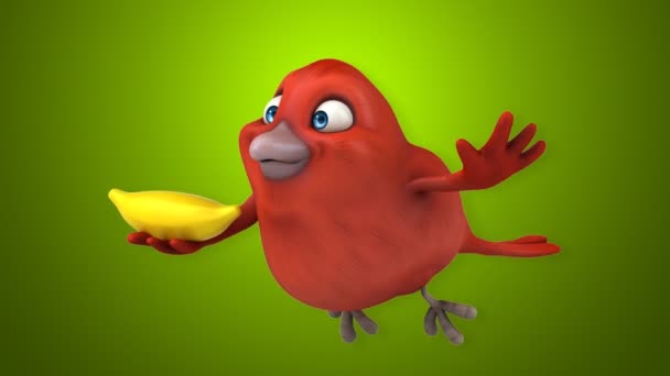 Fun cartoon red bird — Stock Video