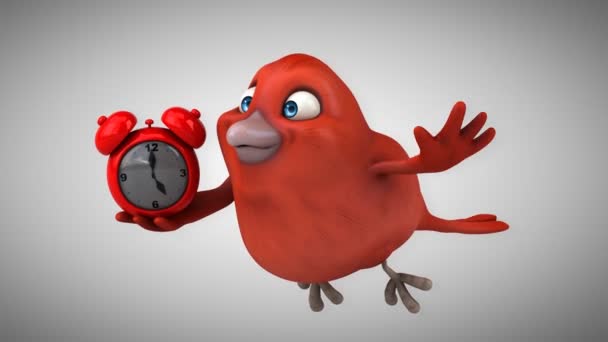 Dessin animé amusant Oiseau rouge — Video