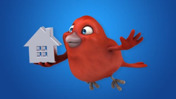 Leuke cartoon rode vogel — Stockvideo