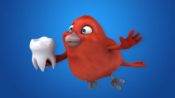 Fun cartoon red bird — Stock Video