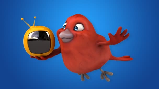 Fun cartoon red bird — Stock Video