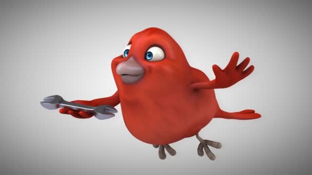 Dessin animé amusant Oiseau rouge — Video