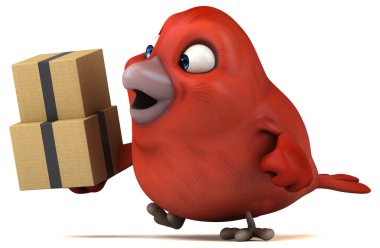 kuş holding kutuları