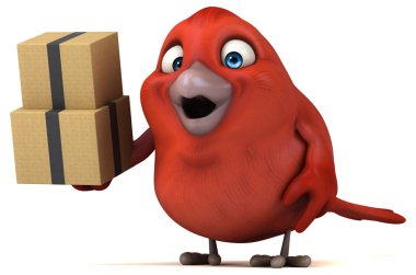  kuş holding kutuları