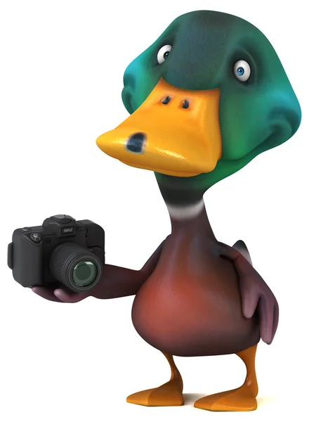 Duck holding camera — Stock Photo, Image