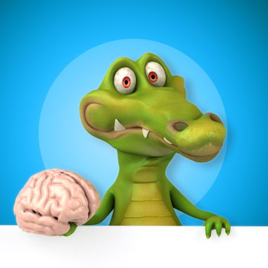  Timsah holding kartı ve beyin 