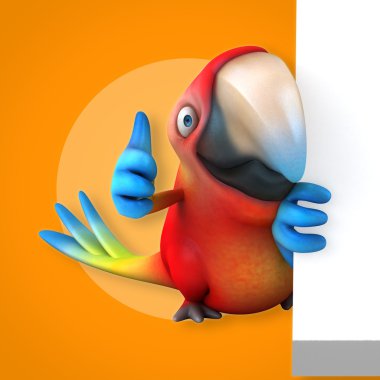  papağan holding kartı 