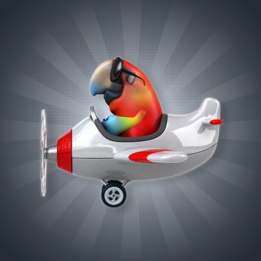 Uçakta komik papağan 