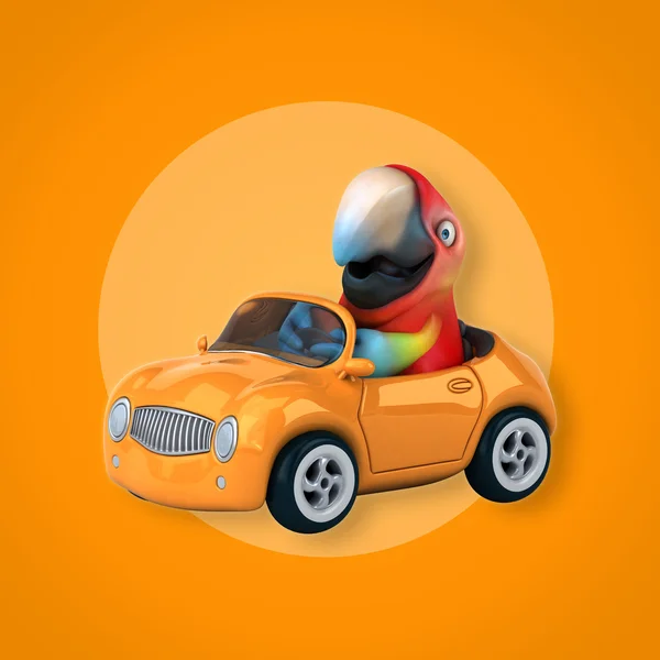 Papuga jazdy samochodem — Zdjęcie stockowe