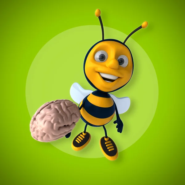 Pszczoła gospodarstwa mózgu — Zdjęcie stockowe