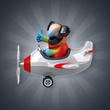 Uçakta komik papağan 