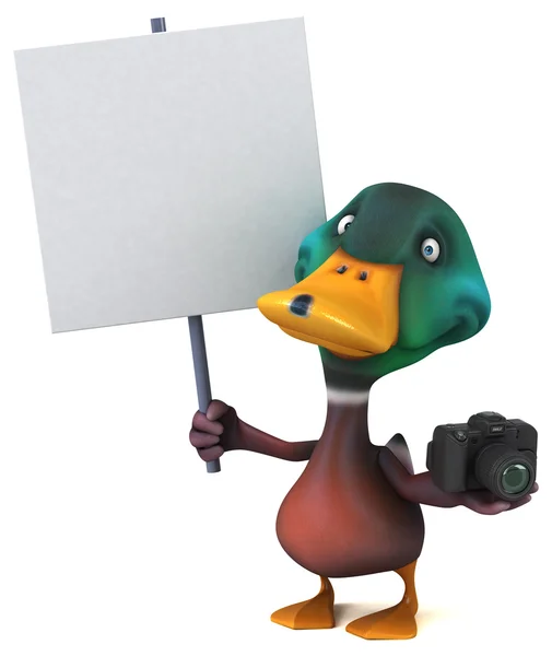 Duck holding card e fotocamera — Foto Stock