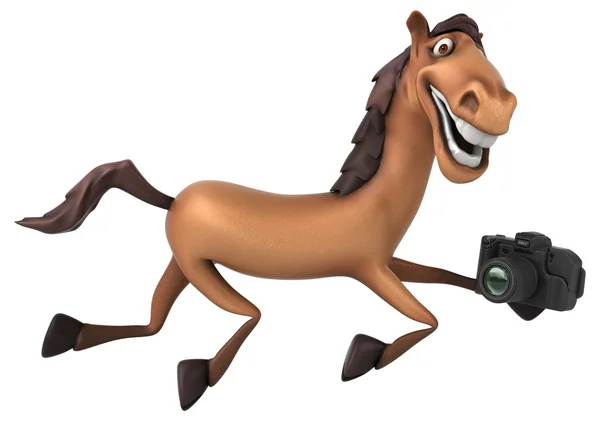 Horse holding  camera — Stock Photo, Image