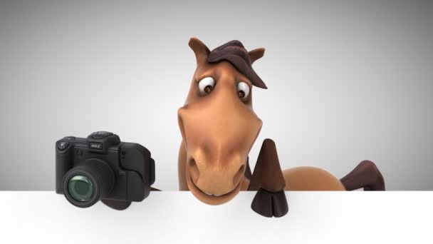 Konia gospodarstwa karta i kamery — Wideo stockowe