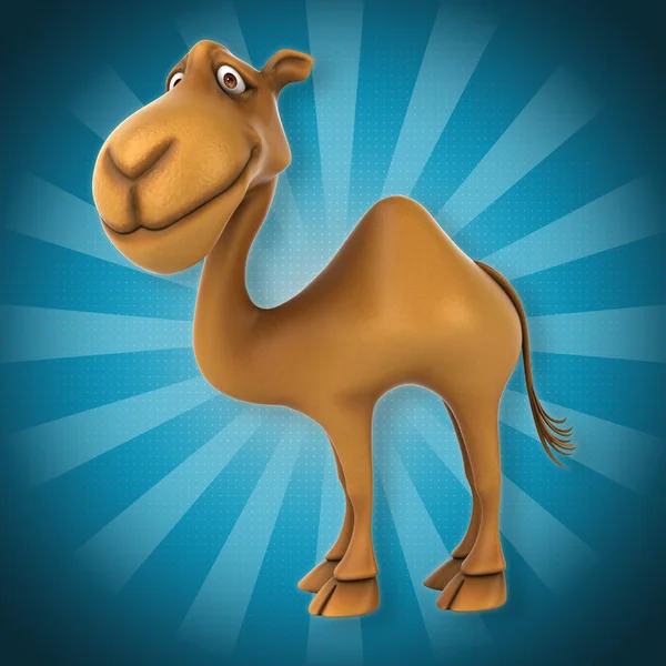 Fun camel  cartoon — Stock Photo, Image