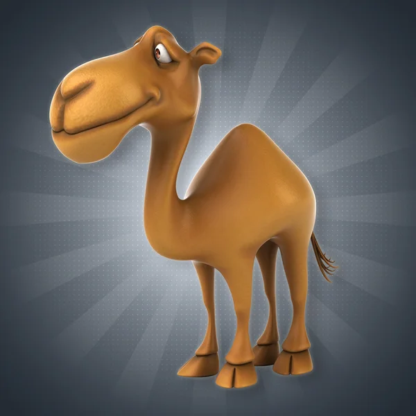 Fun camel  cartoon — Stock Photo, Image