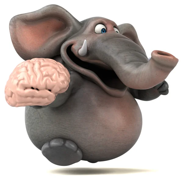 Fil holding beyin — Stok fotoğraf