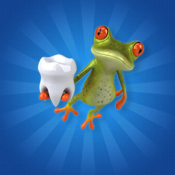 Frog innehav tand — Stockfoto