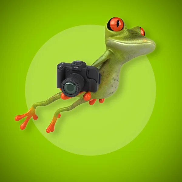 カエル保持しているカメラ — ストック写真