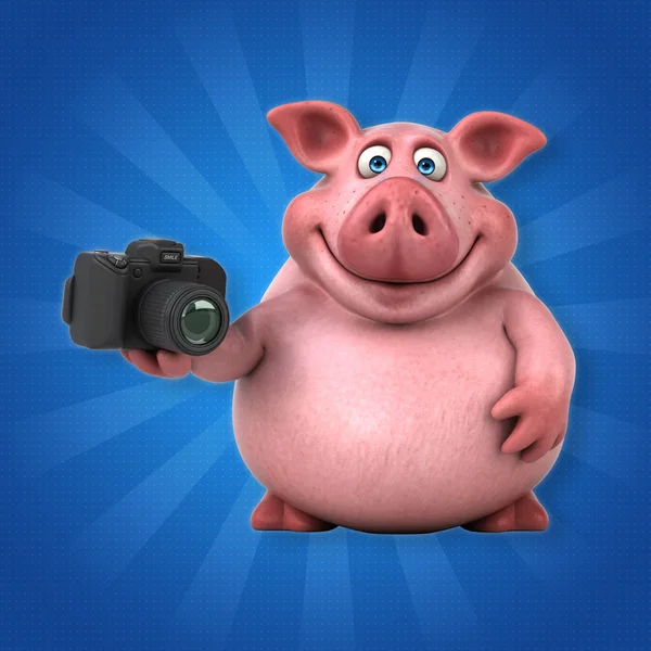 Pig holding camera — Stock Photo, Image