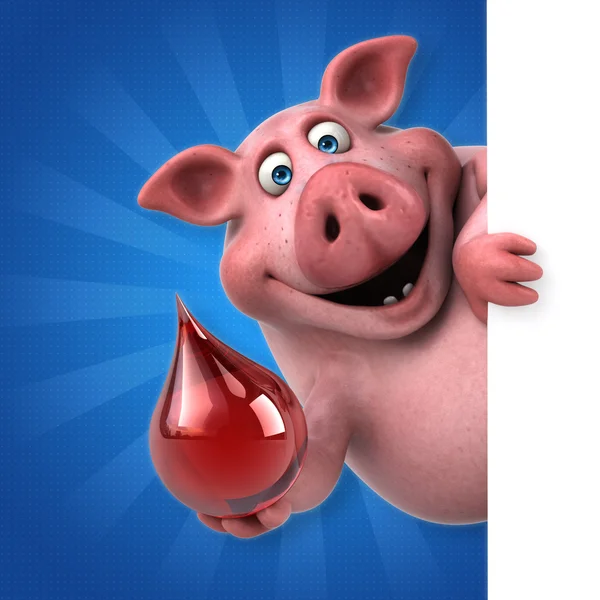혈액 방울을 들고 돼지 — 스톡 사진