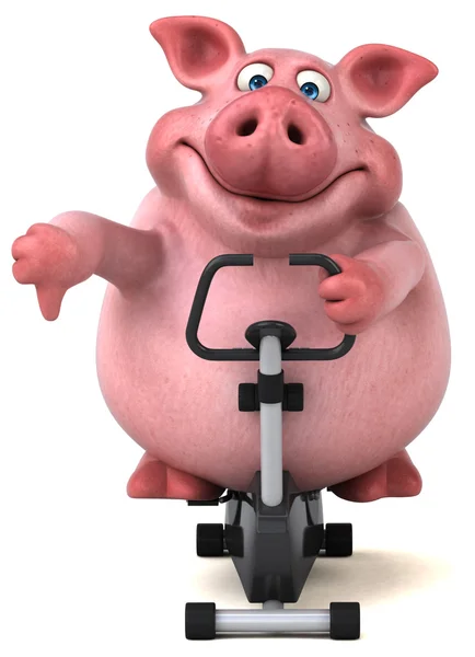 Porc sur vélo de sport — Photo