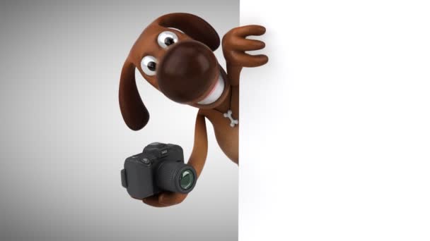 Funny dog holding camera — Stock Video