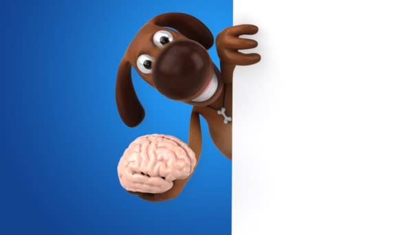 Divertido perro celebración cerebro — Vídeos de Stock