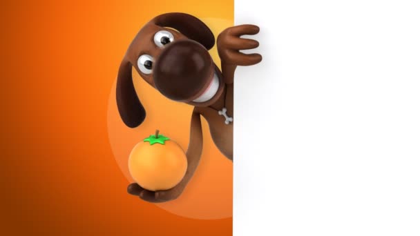 Смешная собака, держащая оранжевый — стоковое видео