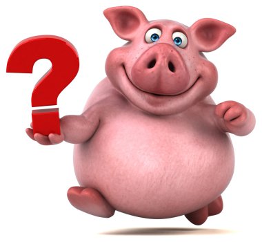 domuz holding soru işareti 