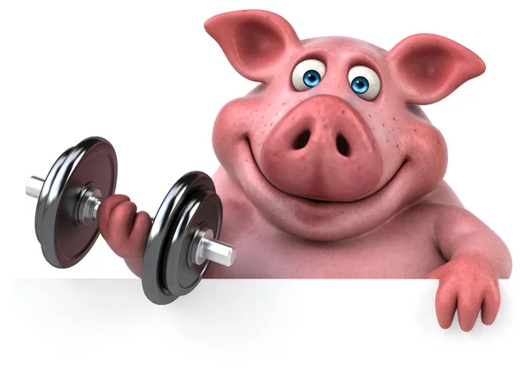 Cartoon pig holding dumbbell — Stock Photo, Image