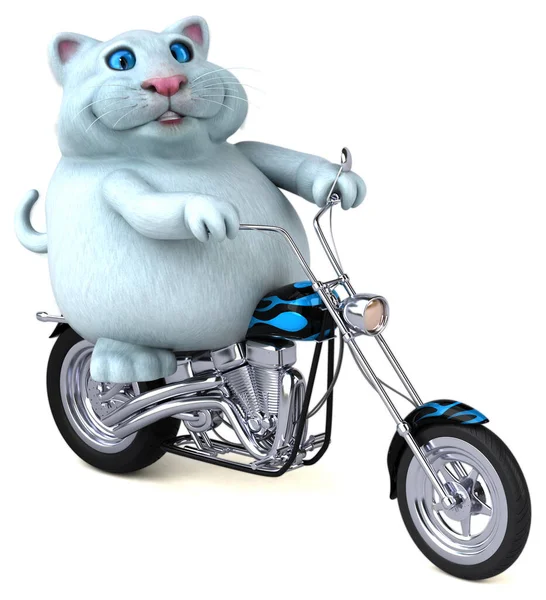 Rolig Katt Motorcykel — Stockfoto