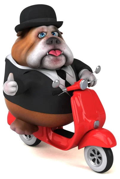 Buldogue Divertido Scooter Ilustração — Fotografia de Stock