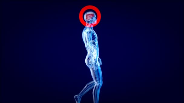 Animación Concepto Anatomía Hombre Rayos — Vídeo de stock