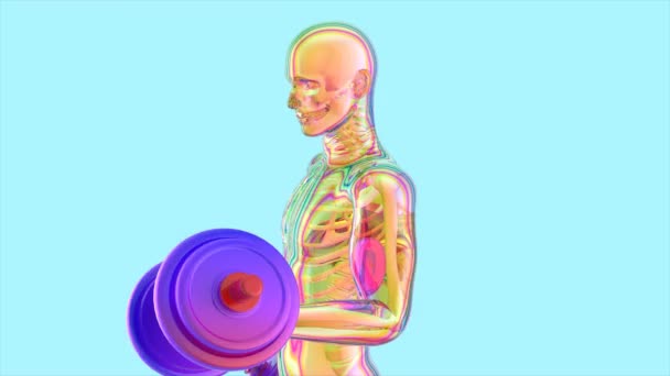 Animation Anatomy Ray Man Doing Biceps Curls — Stock Video