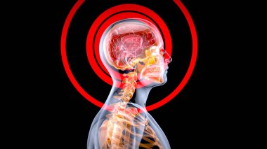 3D Görüntü Anatomisi Xray adamı konsepti 