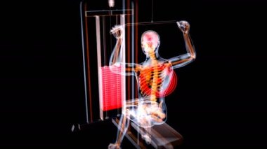 Bir röntgencinin anatomisinin 3 boyutlu animasyonu 